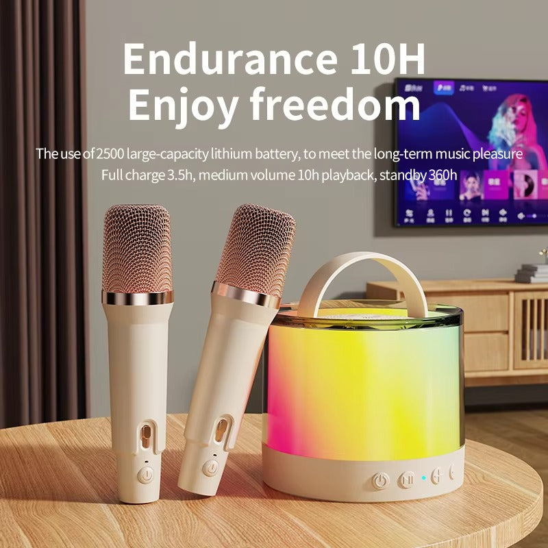 DM36 Wireless Karaoke