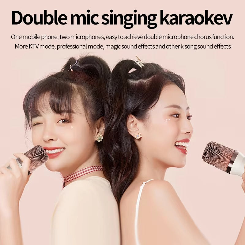 DM36 Wireless Karaoke