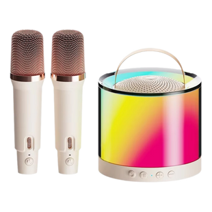 DM36 Wireless Karaoke
