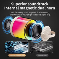 DM36 Wireless Karaoke