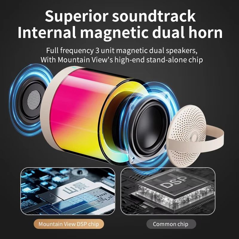 DM36 Wireless Karaoke