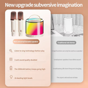 DM36 Wireless Karaoke